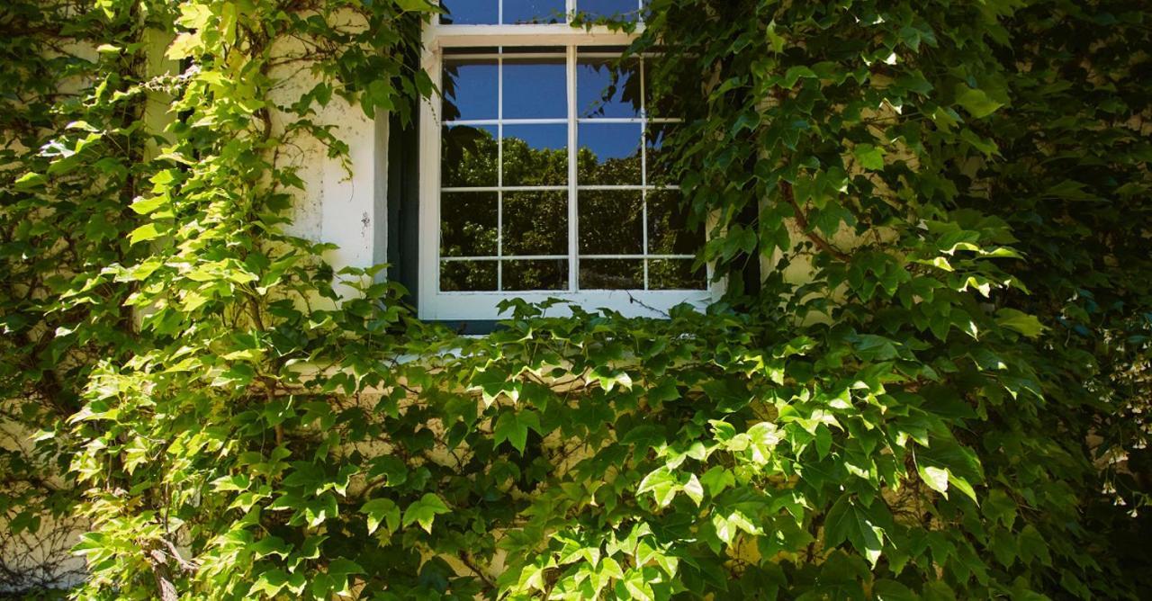 Villa Puccini Kapstaden Eksteriør billede